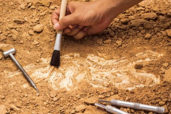 Воспитанники детского археологического лагеря в Осиповичском районе нашли более 1,5 тыс. артефактов