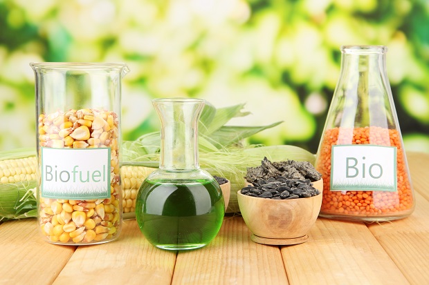 Международный день биодизеля отмечают 10 августа