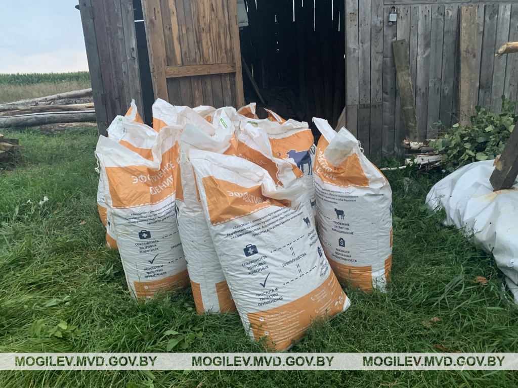 Работники сельхозпредприятия в Осиповичском районе похитили 420 кг комбикорма