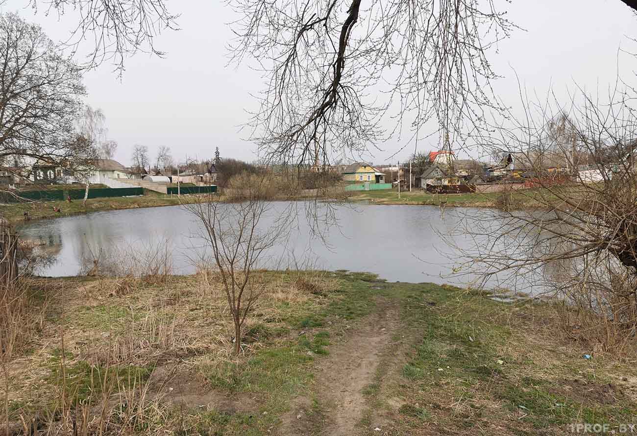 Бобруйчан беспокоит загрязненный водоем частного сектора