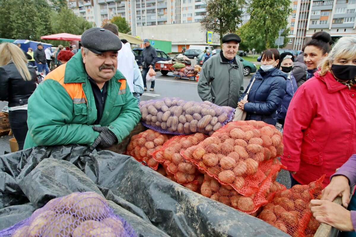 Ярмарка «Золотая осень» в Бобруйске