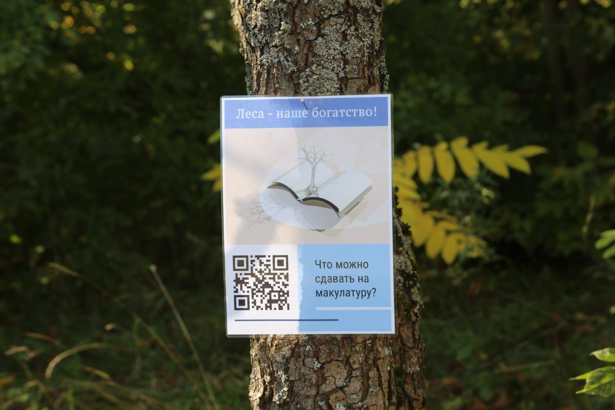 Новости бобруйска, фото