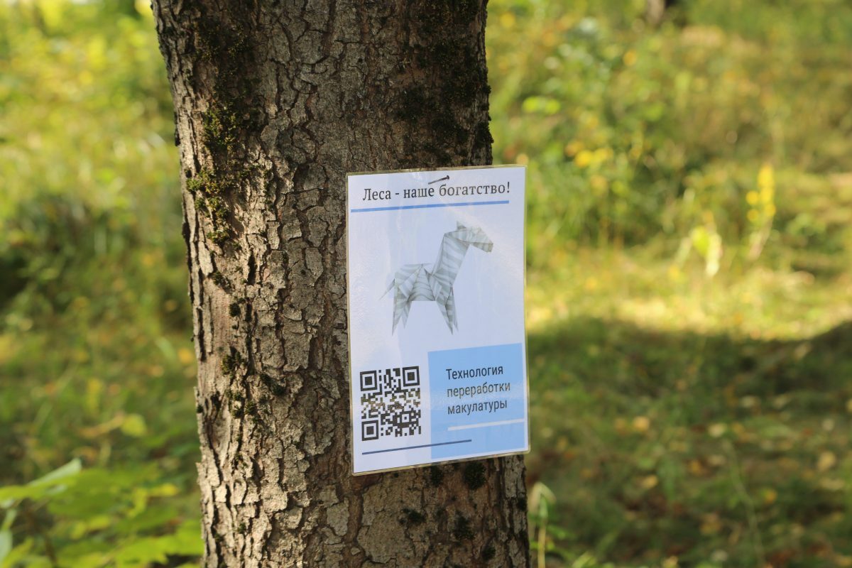 Новости бобруйска, фото