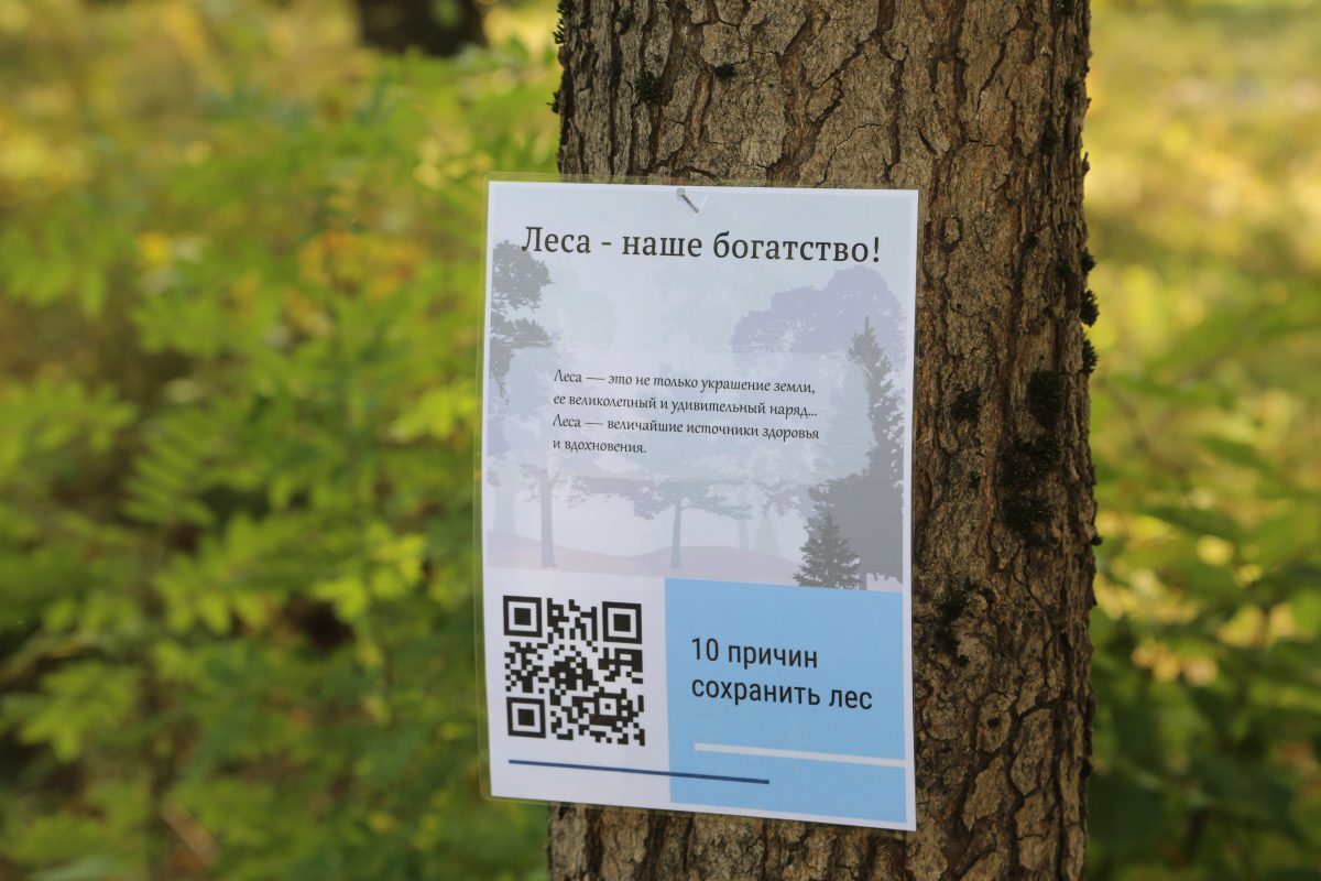 Новости бобруйска, фото