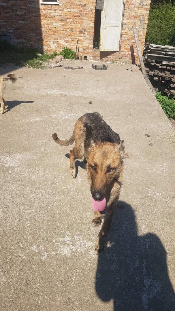 Новости бобруйска, фото