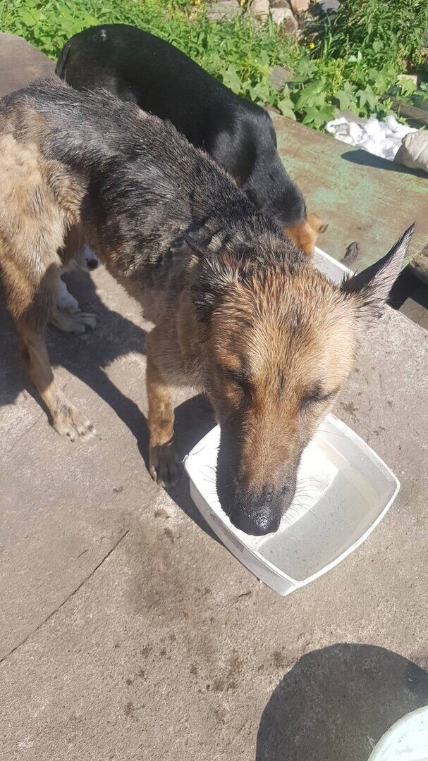 Новости бобруйска, фото