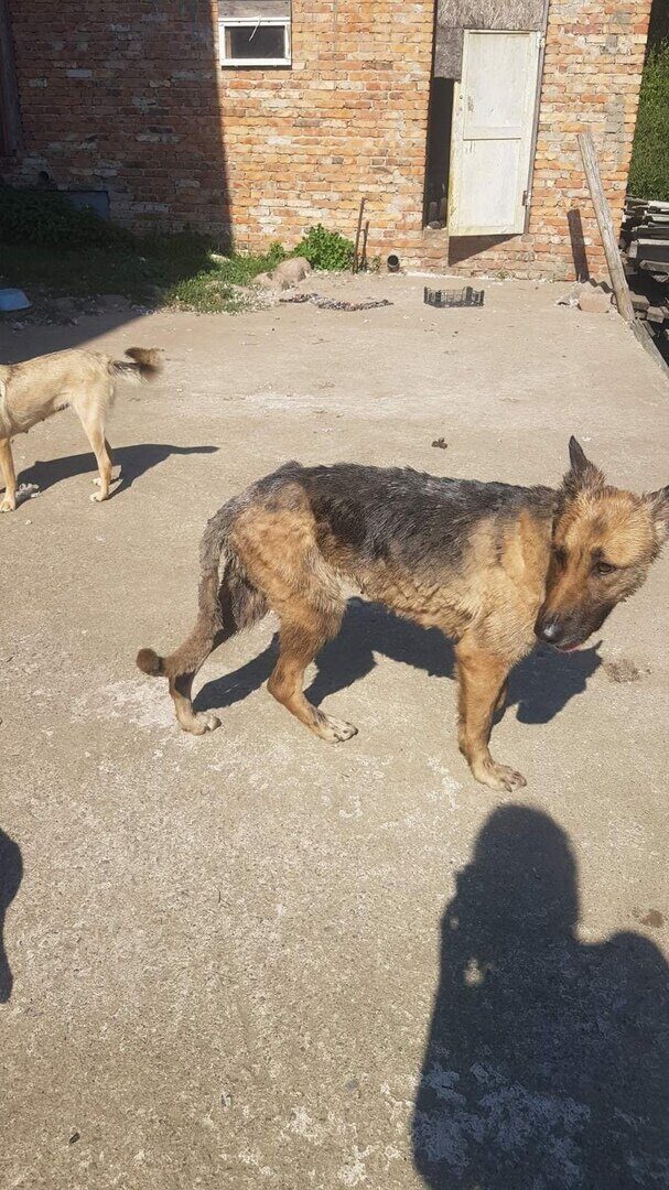 Новости бобруйска, фото