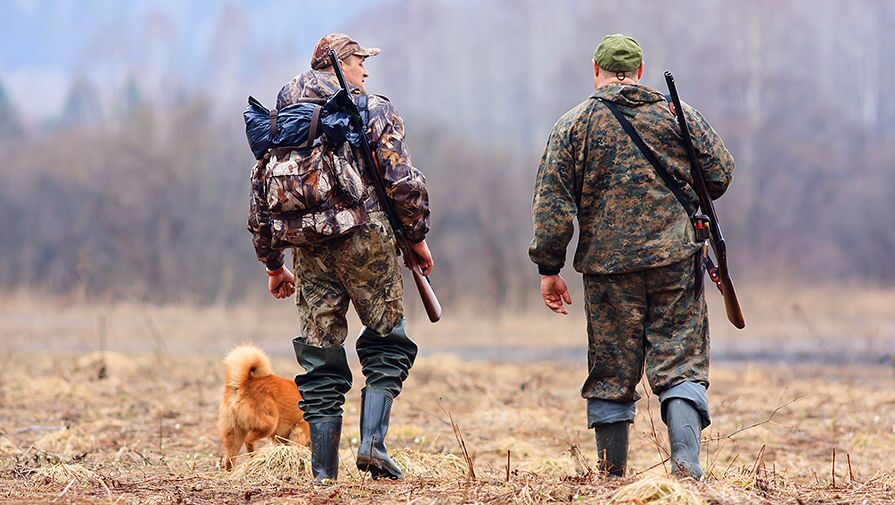 Открыт сезон охоты на бобра и выдру