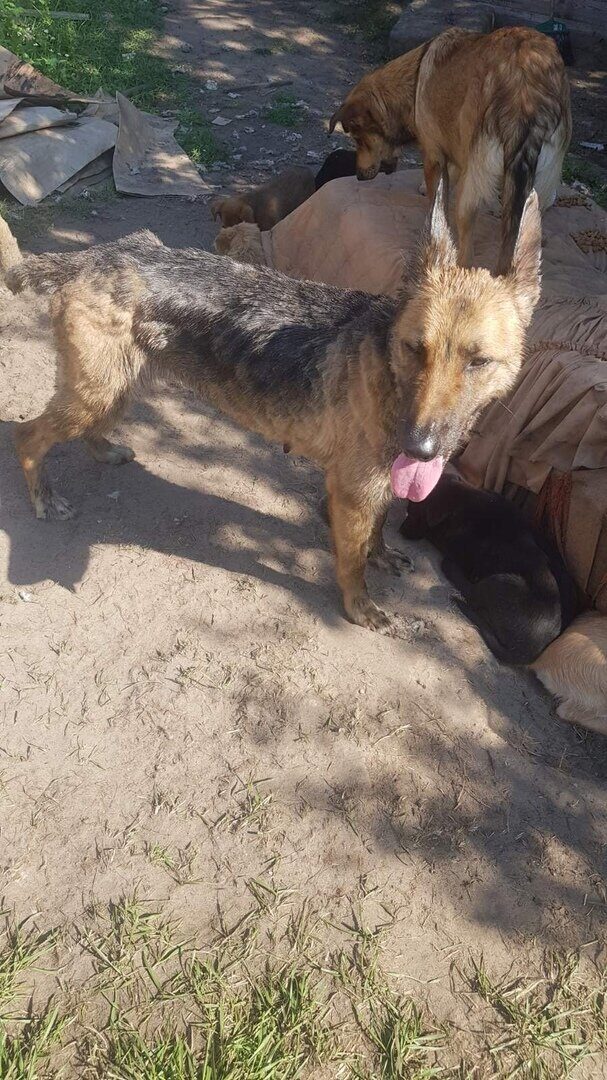 Новости бобруйска, фото