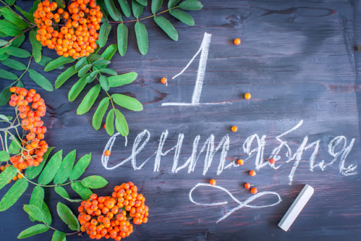 «1 сентября — особая дата в календаре» — Лукашенко поздравил учащихся и педагогов с Днем знаний