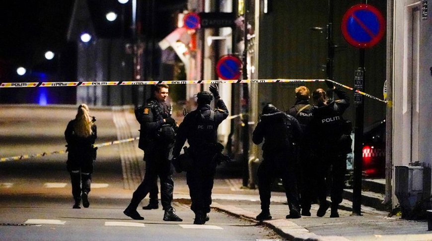 В Норвегии вооруженный луком мужчина напал на людей — есть погибшие