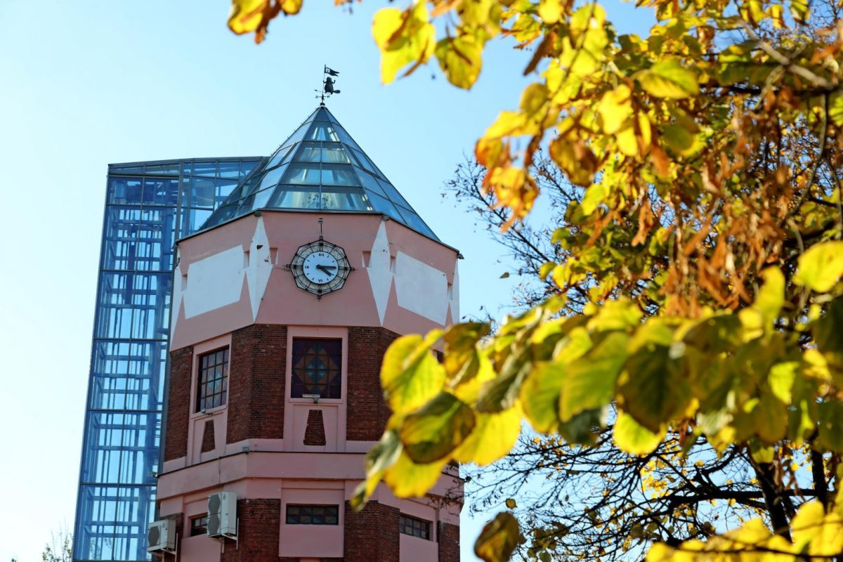 Только посмотрите, как красив любимый Бобруйск в лучах осеннего солнца!