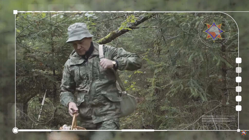 Бобруйские спасатели советуют, как правильно уйти в лес, чтобы благополучно вернуться
