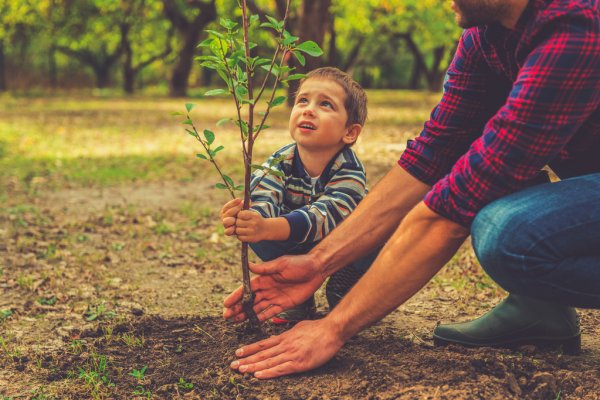 В Ковалях заложат парк семейных деревьев и откроют новую детскую площадку