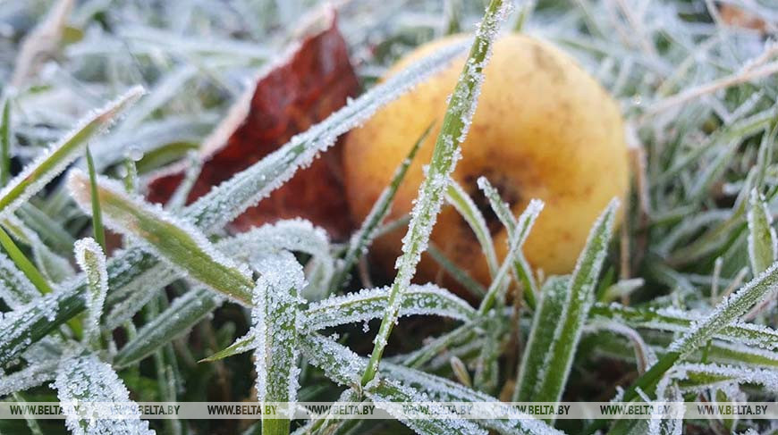 В Беларуси 11 ноября ожидаются заморозки, будет в основном без осадков