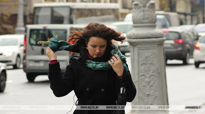 Оранжевый уровень опасности из-за сильного ветра объявлен в Беларуси 6 ноября