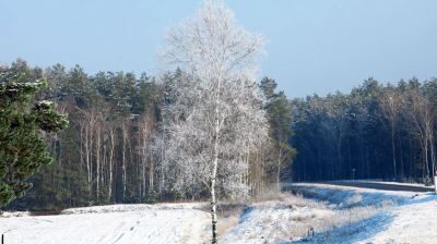 Снег и до -10°С ожидается в Беларуси 6 декабря