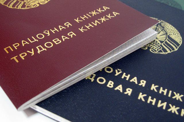 При содействии службы занятости в Могилевской области за 11 месяцев трудоустроено 15,8 тыс. человек