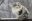 Ночные морозы ожидаются в Беларуси 4 февраля