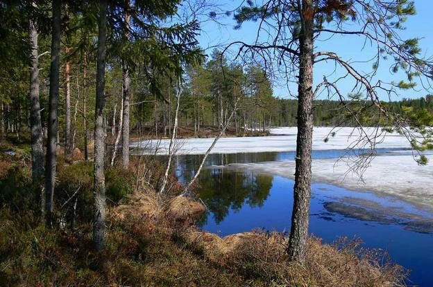 Погода 24 и 25 февраля: преимущественно без осадков, гололедица и от -5 °С до +9 °С