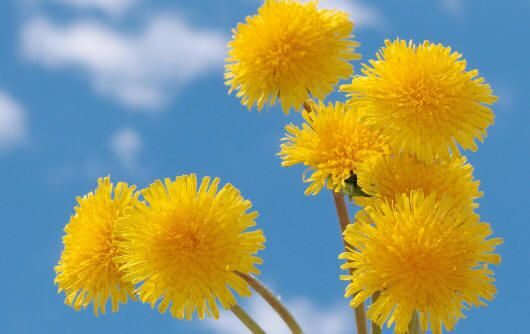 В Белгидромете рассказали, каких климатических потрясений белорусам стоит опасаться