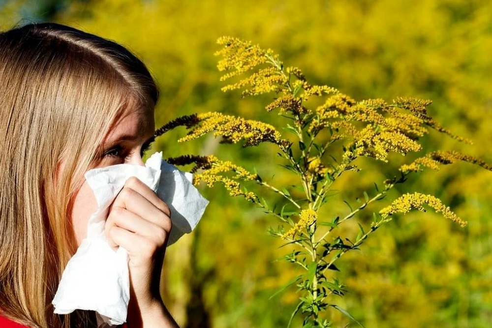 Аллергия на пыльцу. Что нужно знать
