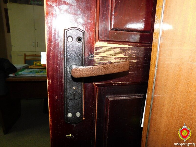 В Бобруйске судебные эксперты помогли установить подозреваемого в краже по следу руки