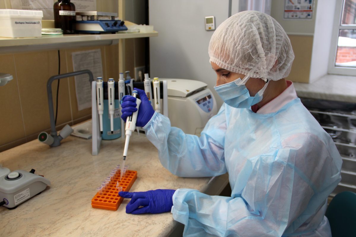 Как установить родство с умершим человеком, объясняют медицинские эксперты