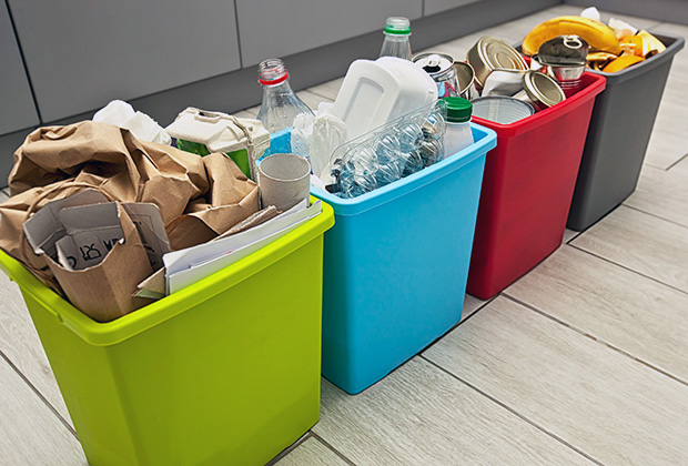 Сортируете ли вы мусор?