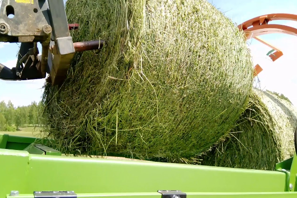 На Могилевщине планируют заготовить свыше 1,105 тыс. тонн травяных кормов