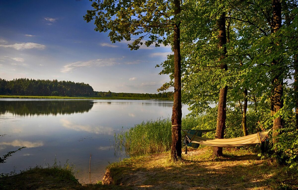 В Могилевской области определено 50 мест отдыха у воды