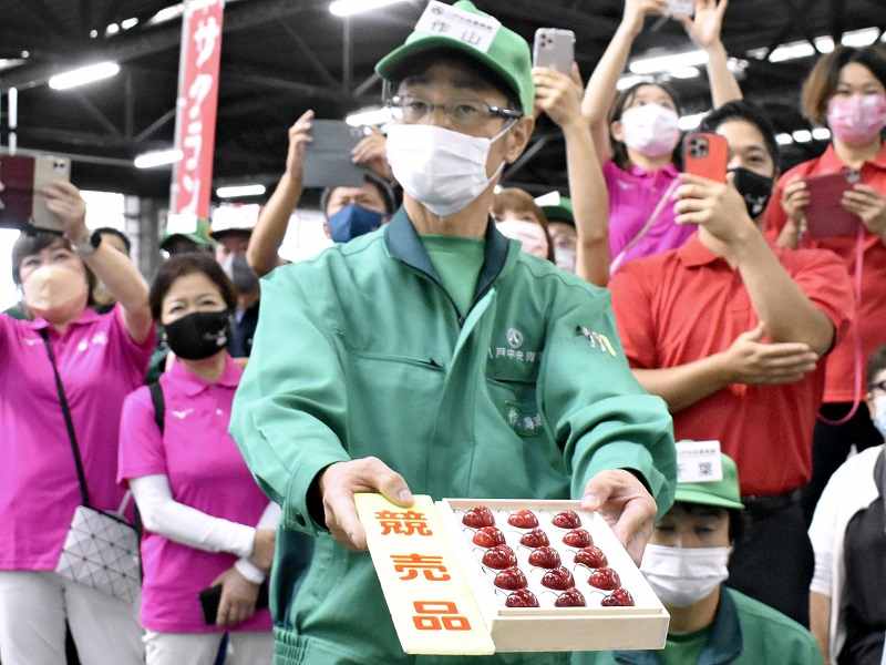 В Японии продали одну ягодку черешни сорта Aomori Heartbeat почти за $300