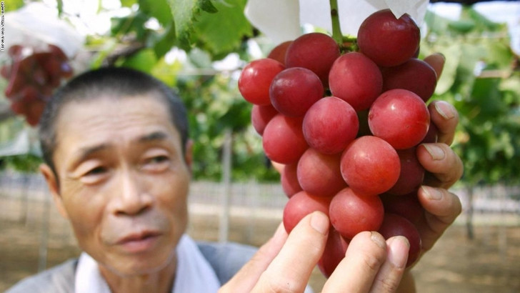 В Японии гроздь винограда продали на аукционе за 10,7 тысячи долларов