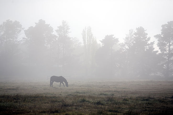 Туман и грозы: погода в Беларуси на 15 июля