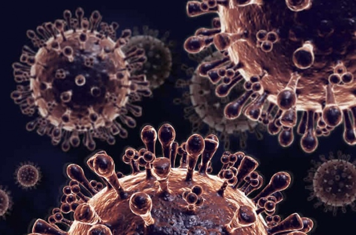 В России выявили подвариант «кентавр» омикрон-штамма коронавируса