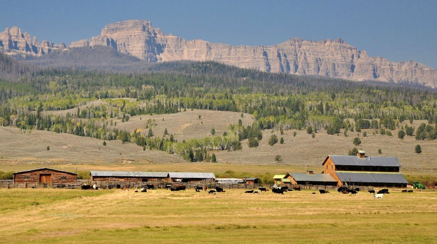 В США продают ранчо, принадлежавшее семье Уолта Диснея