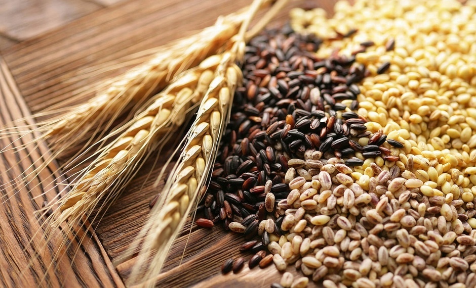 Массовую уборку зерновых в Беларуси планируют завершить 20 августа