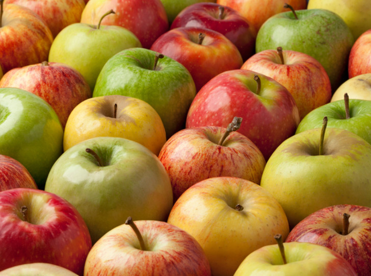 Почем принимает «Красный пищевик» яблоки?