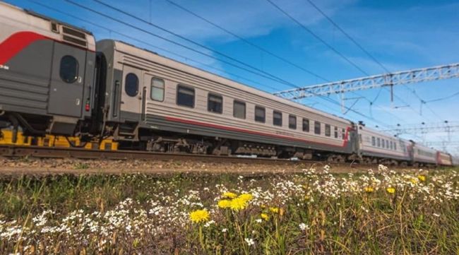 Отправляющийся пассажирский поезд в Быхове наехал на упавшую с перрона на железнодорожные пути женщину