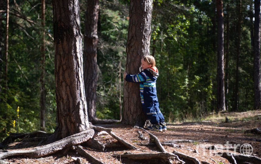 Прикоснуться к природе: в финской Лапландии прошел чемпионат по обниманию деревьев