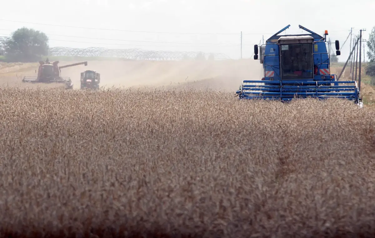Заяц: в ближайшем будущем Беларусь должна выращивать 1 млн т зернобобовых культур