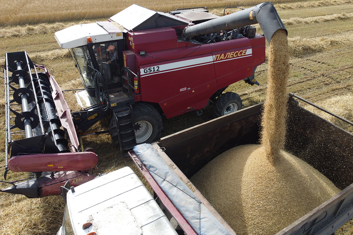 В Беларуси намолотили 4 млн тонн зерна