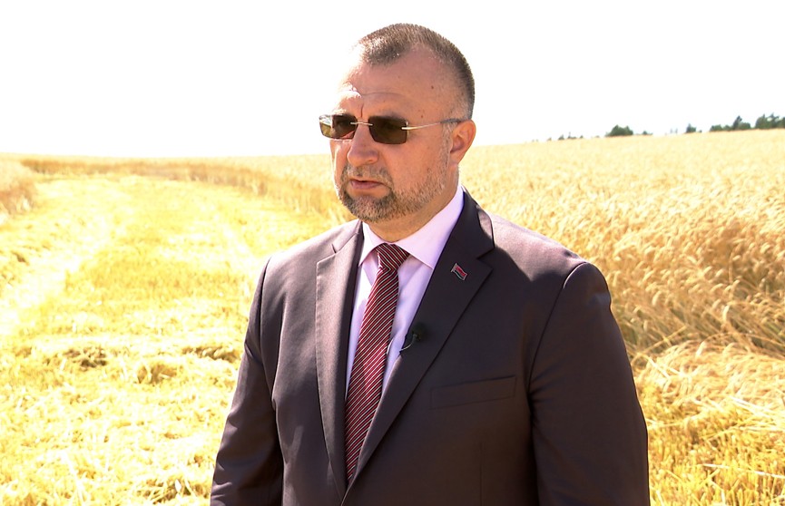 Будет ли Беларусь экспортировать зерно, рассказал министр сельского хозяйства
