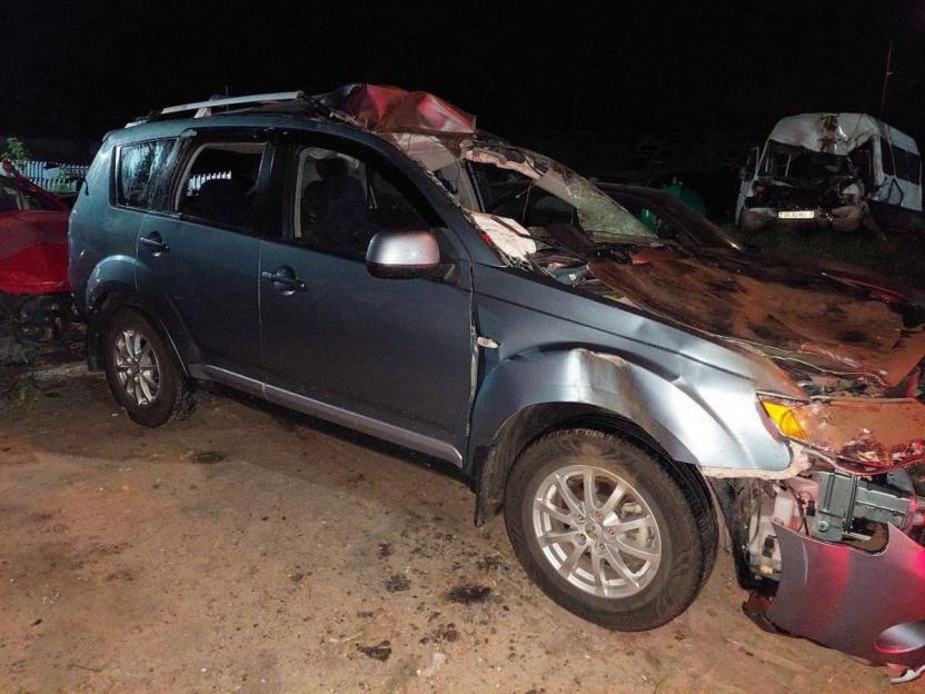 Из-за лося, выбежавшего на дорогу в Осиповичском районе, пострадала пассажирка Mitsubishi