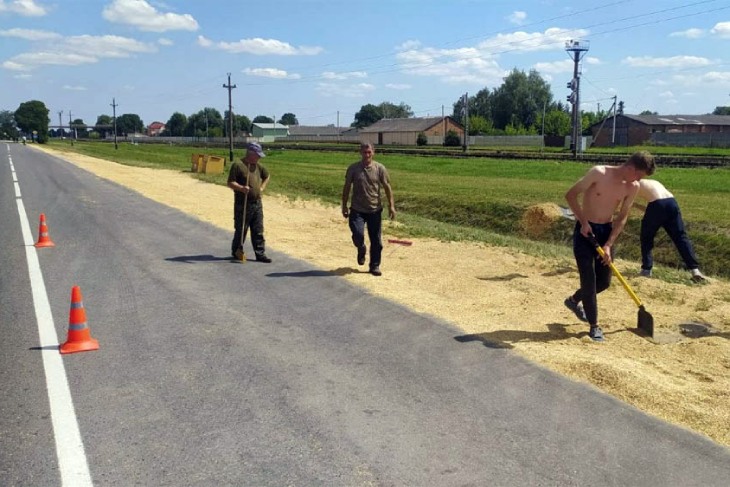 В Кировском районе на проезжую часть высыпалось более 4 тонн зерна