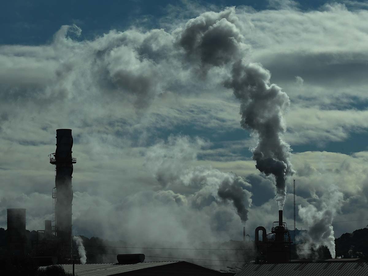 Минприроды: выбросы загрязняющих веществ в атмосферу в Беларуси существенно сократились