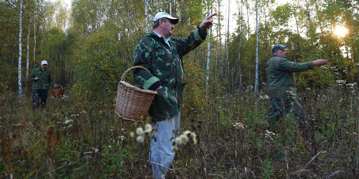 В Беларуси за сутки в лесах потерялись шесть человек