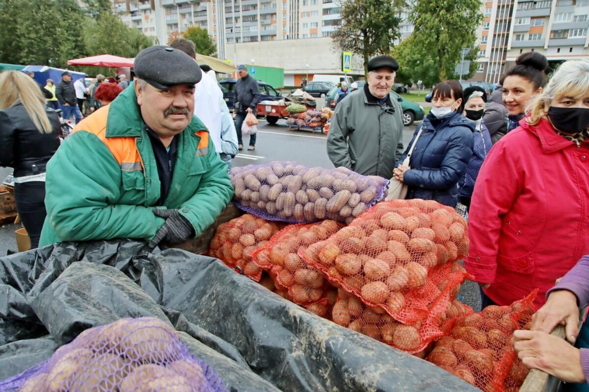 Когда и где будут проходить ярмарки «Золотая осень» в Бобруйске