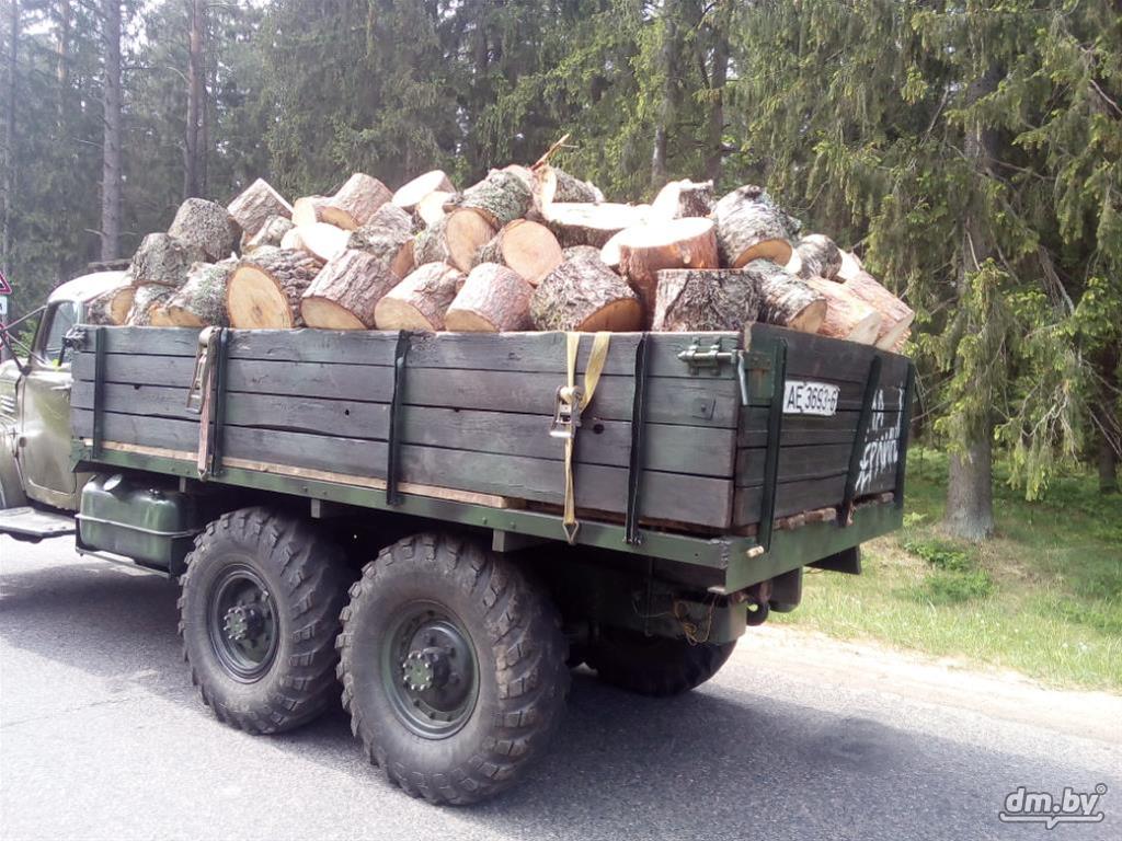 В Могилевской области растет спрос на дрова