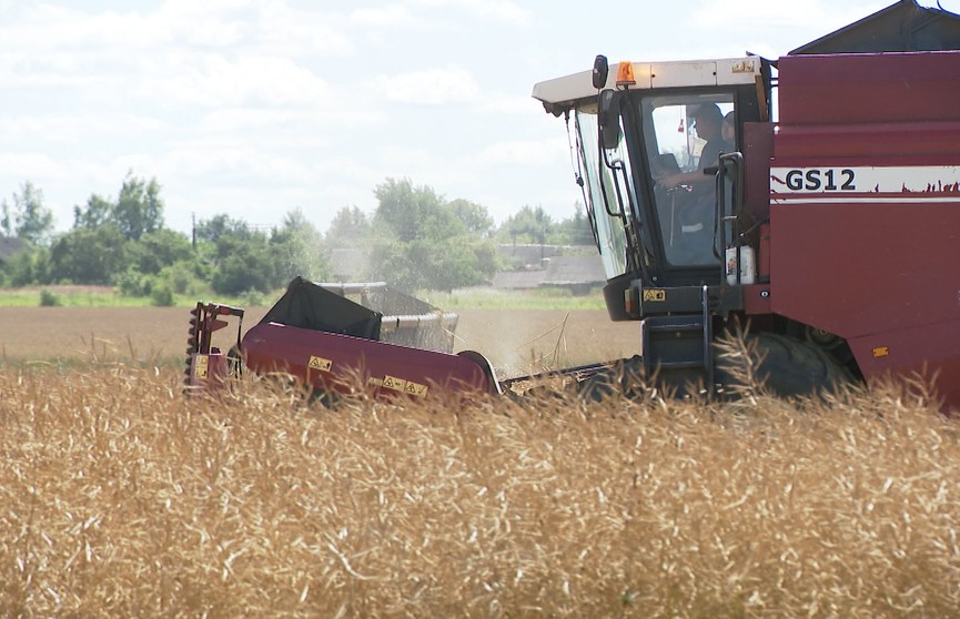 В Беларуси намолочено 9 миллионов тонн зерна